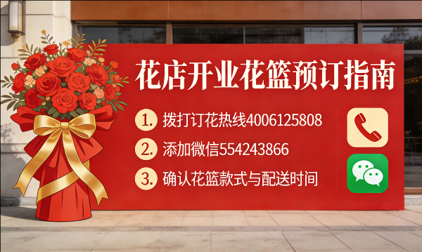 ��ݸ弲�����