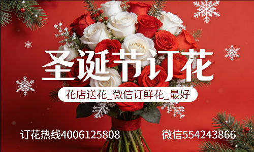 ��ݸ弲�����