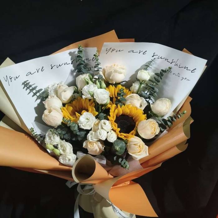 ��ݸ弲�����