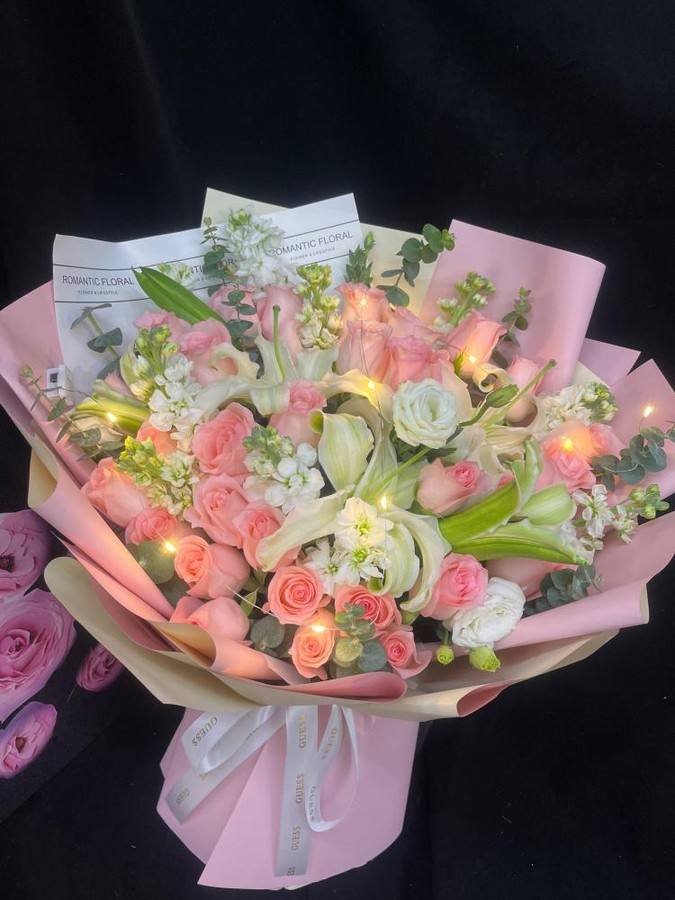 ��ݸ弲�����