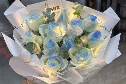 ��ݸ弲�����