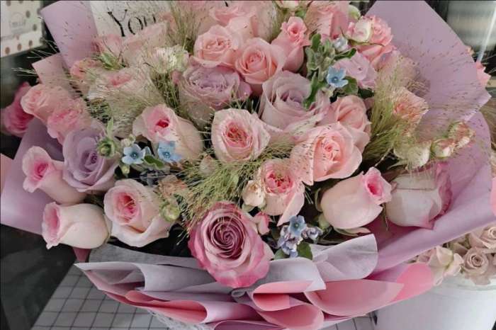 ��ݸ弲�����
