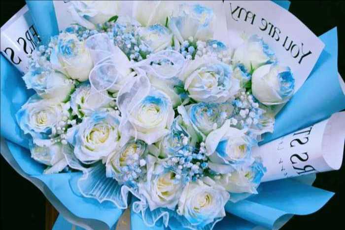 ��ݸ弲�����