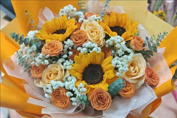 ��ݸ弲�����