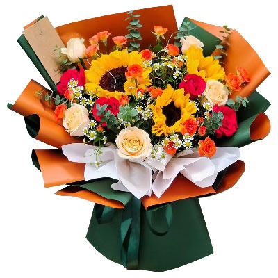 ��ݸ弲�����