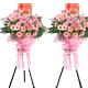 ��ݸ弲���ҵ����